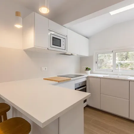 Casita Palmeras 卡涅利亚斯