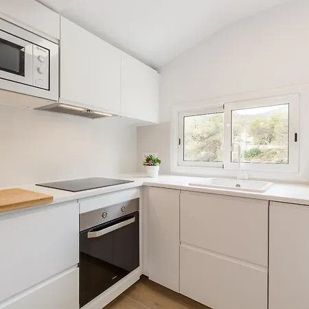 Casita Palmeras 卡涅利亚斯
